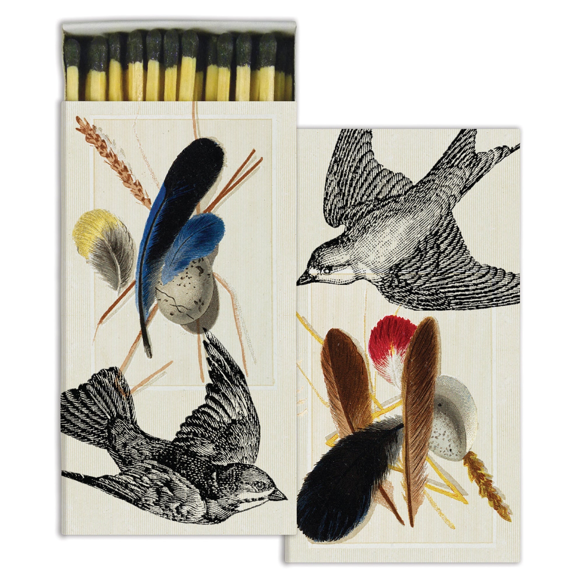 Matches, Sparrows + Specimens