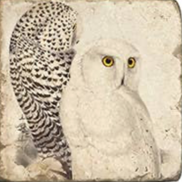 Vintage Owls Tumbled Marble Coaster