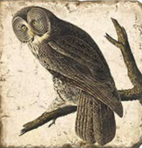 Vintage Owls Tumbled Marble Coaster