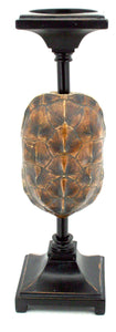 Turtle Shell Candlestick